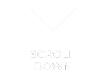 Scroll Down Arrow Icon